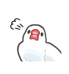 かわいいどうぶつ from いらすとっち（個別スタンプ：9）