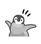 かわいいどうぶつ from いらすとっち（個別スタンプ：13）
