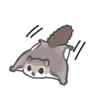 かわいいどうぶつ from いらすとっち（個別スタンプ：24）