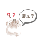 yaN家のハリネズミMOO（個別スタンプ：9）
