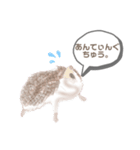yaN家のハリネズミMOO（個別スタンプ：16）
