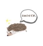 yaN家のハリネズミMOO（個別スタンプ：19）