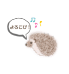 yaN家のハリネズミMOO（個別スタンプ：21）