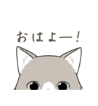 おそとのねこたち（個別スタンプ：1）