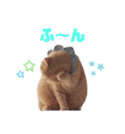 みるゆきねこスタンプ2（個別スタンプ：10）