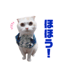 みるゆきねこスタンプ2（個別スタンプ：12）
