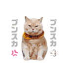 みるゆきねこスタンプ2（個別スタンプ：14）