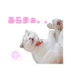みるゆきねこスタンプ2（個別スタンプ：15）