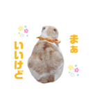 みるゆきねこスタンプ2（個別スタンプ：16）