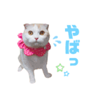 みるゆきねこスタンプ2（個別スタンプ：23）
