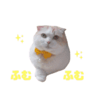 みるゆきねこスタンプ2（個別スタンプ：27）