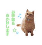 みるゆきねこスタンプ2（個別スタンプ：29）