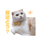みるゆきねこスタンプ2（個別スタンプ：32）