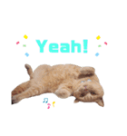 みるゆきねこスタンプ2（個別スタンプ：33）