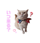 みるゆきねこスタンプ2（個別スタンプ：34）