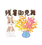 毎日使える_夏の花いっぱい、ウサギとネコ（個別スタンプ：19）