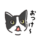 猫様いっぱい 了解がいっぱい（個別スタンプ：7）