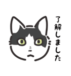 猫様いっぱい 了解がいっぱい（個別スタンプ：14）