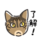 猫様いっぱい 了解がいっぱい（個別スタンプ：23）