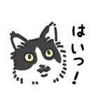 猫様いっぱい 了解がいっぱい（個別スタンプ：28）