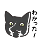 猫様いっぱい 了解がいっぱい（個別スタンプ：30）