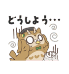とりぼん先生（個別スタンプ：12）