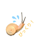 生き物たちと共に（個別スタンプ：1）