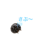 生き物たちと共に（個別スタンプ：2）