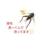 生き物たちと共に（個別スタンプ：4）