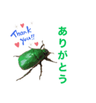 生き物たちと共に（個別スタンプ：7）