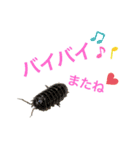 生き物たちと共に（個別スタンプ：8）