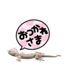 生き物たちと共に（個別スタンプ：9）