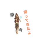 生き物たちと共に（個別スタンプ：14）