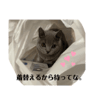 うちの愛猫るなちゃん（個別スタンプ：12）