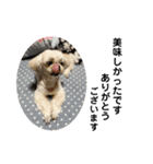 うちの仔スタンプ(犬)3（個別スタンプ：4）