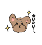 もみちゃんの日常スタンプ（個別スタンプ：16）