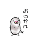 ゆきだるま文鳥1.5（個別スタンプ：5）