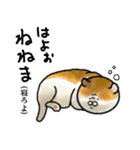 福井育ちのびゃっくん（個別スタンプ：3）