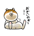 福井育ちのびゃっくん（個別スタンプ：6）