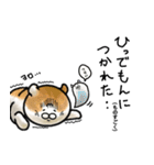 福井育ちのびゃっくん（個別スタンプ：9）