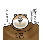 福井育ちのびゃっくん（個別スタンプ：11）