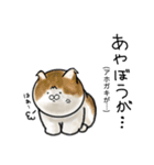 福井育ちのびゃっくん（個別スタンプ：15）
