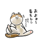 福井育ちのびゃっくん（個別スタンプ：16）