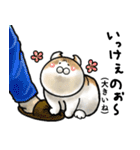 福井育ちのびゃっくん（個別スタンプ：19）