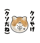 福井育ちのびゃっくん（個別スタンプ：20）