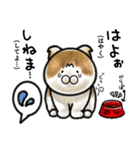 福井育ちのびゃっくん（個別スタンプ：21）
