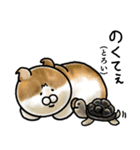 福井育ちのびゃっくん（個別スタンプ：23）