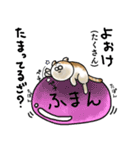 福井育ちのびゃっくん（個別スタンプ：25）