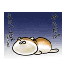 福井育ちのびゃっくん（個別スタンプ：26）