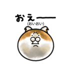 福井育ちのびゃっくん（個別スタンプ：27）